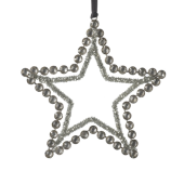 Parlane Antaris Star Decoration
