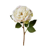 Rose tea velvet flower stem in off white & soft cream