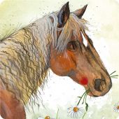 Horse And Flowers Coaster - Alex Clark