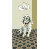 The Little Dog - Fast Lane Greeting Card