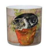 The Little Dog Laughed Tabby and White Cat China Mug