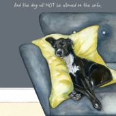 The Little Dog - Not Sofa Gift Card