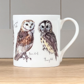 Barn & Tawny owl