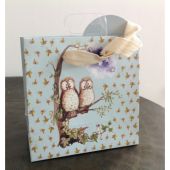 Owls Small Gift Bag by Alex Clark