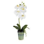 Artificial Potted Parlane White Orchid Phalanopsis 