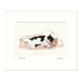 Pillow Talk Framed Cat Picture Print - Madeleine Floyd 