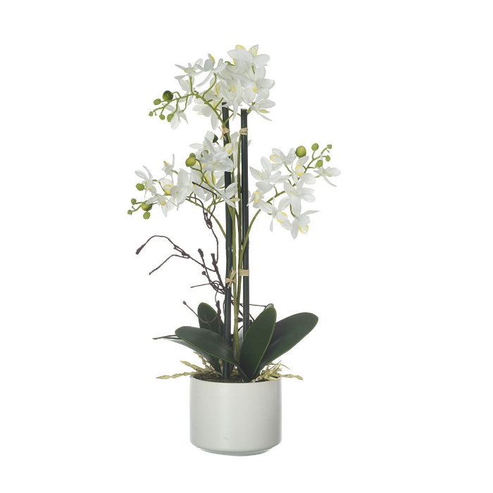 Parlane Artificial Potted Phalaenopsis 